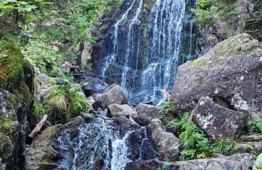 Gîte Le Hangar 67 à Saulxures-sur-Moselotte - Location atypique proche lac - Foto 28