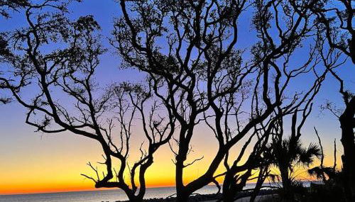 Cute Cottage with 3 min walk to beach with bikes! - Foto 5