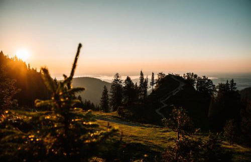 Beim Mühltaler - Photo 32