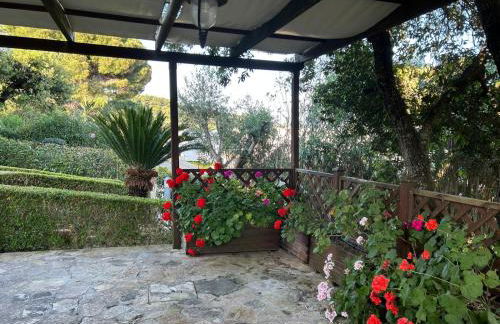 Villetta a pochi passi dal mare - Foto 30