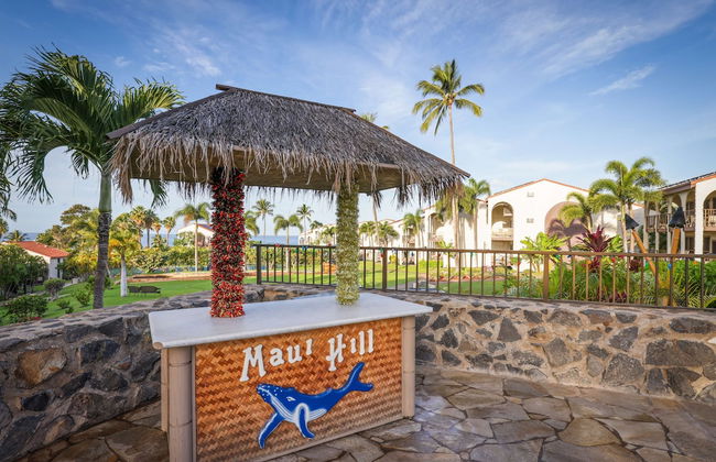 Aston Maui Hill - Photo 69