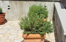 Apartment & Studio Goga - Foto 48