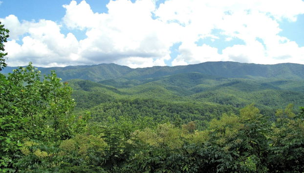 Woodshed by Jackson Mountain Rentals - Photo 2, Équipement de l’hébergement