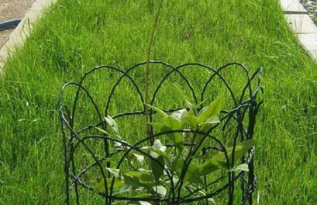 Apartments Muki - Foto 23