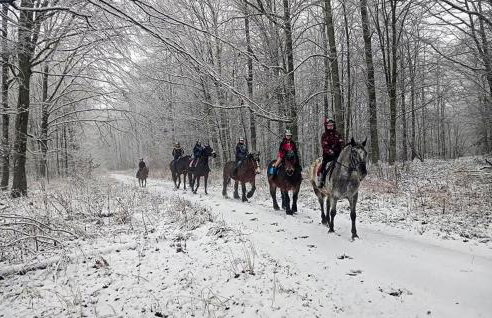 5 Bedroom Pet Friendly Home In Srokowo - Foto 29