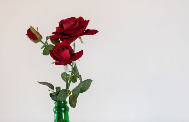 La Torretta - Photo 25