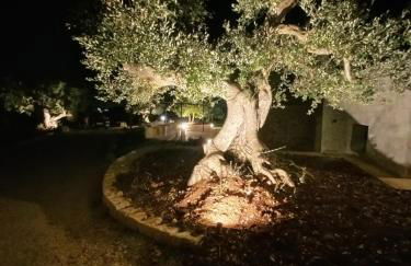 Il nido delle rondini - Foto 16