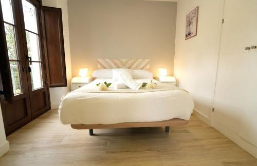 Apartamentos Consistorio Live - Foto 11