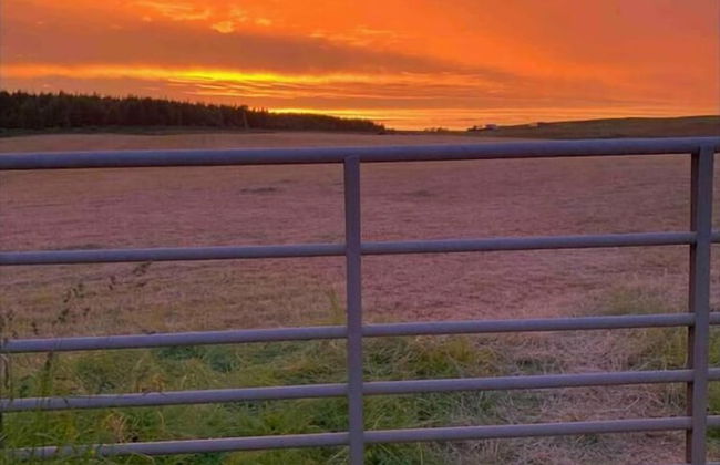 Lovely Semi-rural Caravan & Hot Tub - Sleeps Fam 6 - Photo 13
