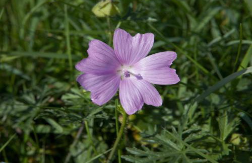 Romantic apartment in Hambachtal Holiday Park - Foto 54