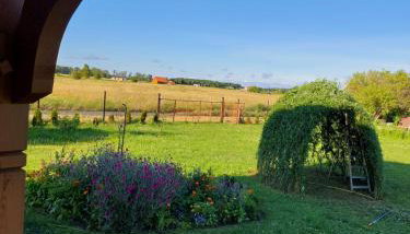 Przytulisko - Foto 3