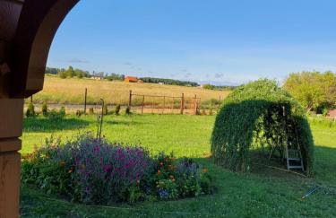 Przytulisko - Foto 3