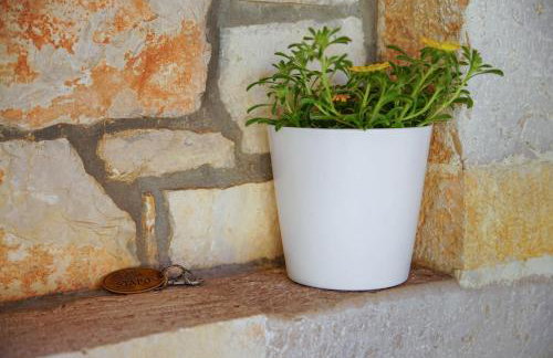 Apartments Villa Stapo - Foto 59