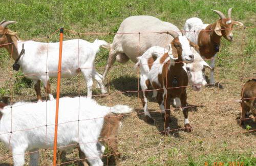 Ferienwohnung Kunze - Foto 17