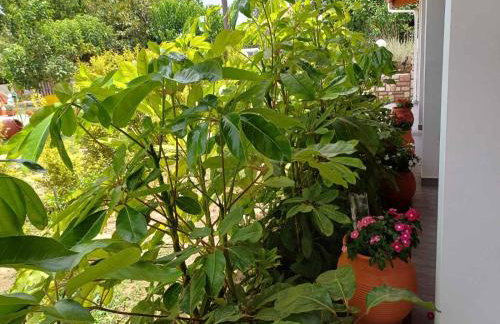 Aggelikis house - Foto 22