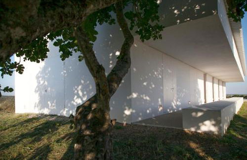 Monte Da Azarujinha - Foto 24