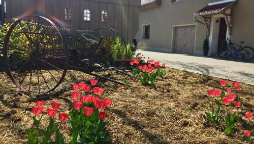 Ferienwohnung Schwalbennest-Großkoschen - Foto 2, Garden