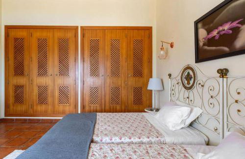 Monte Velho - Foto 23