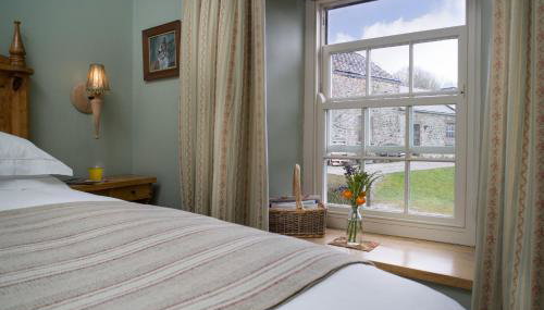 Nantgwynfaen Organic Farm Wales - Foto 3