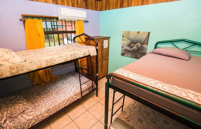 Pura Natura Lodge - Foto 70