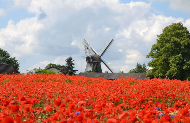 Achtern Diek Modern Retreat - Foto 16