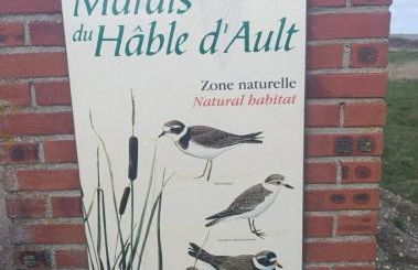 Grain de Sable Vue Mer - Foto 20