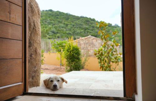 Résidence Vista Blu - Foto 45