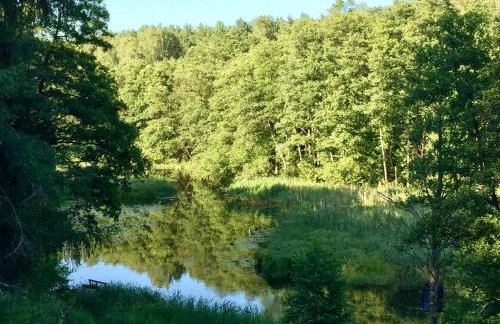 Sosnowy Zakatek - Foto 38