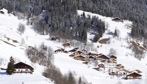 Les Myosotis - Foto 3