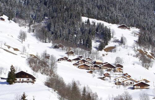 Les Myosotis - Foto 3