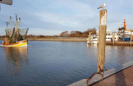 FeWo Fuhrmann - Foto 25