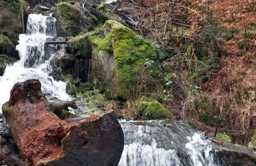 Apartment in Eibenstock 30354 - Foto 6