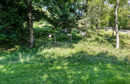 Agriturismo Malga Riondera - Foto 25