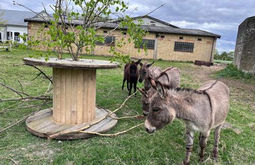 Wohnen in der ehemaligen Bauernstube - Foto 44