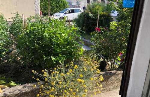 Garden apartman Split - Foto 35