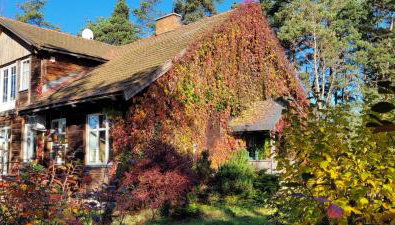 Akacjowe Wzgórze - Foto 2