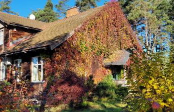 Akacjowe Wzgórze - Foto 2