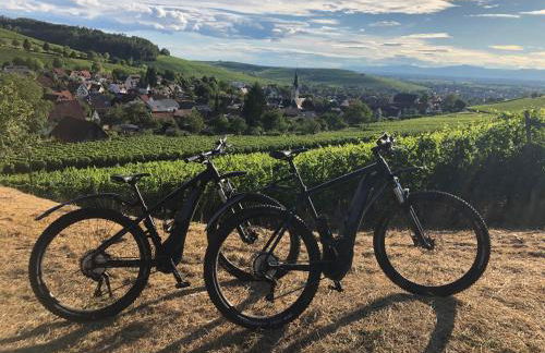 Ferienwohnung Gasser - Foto 20