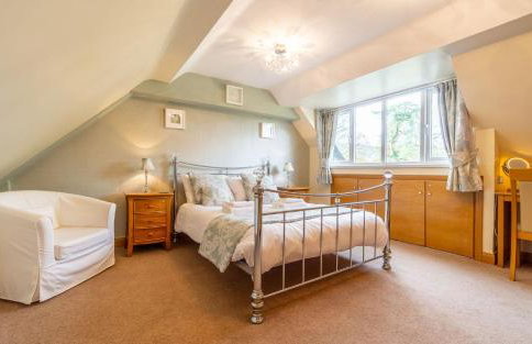 Deer Corner - Photo 9