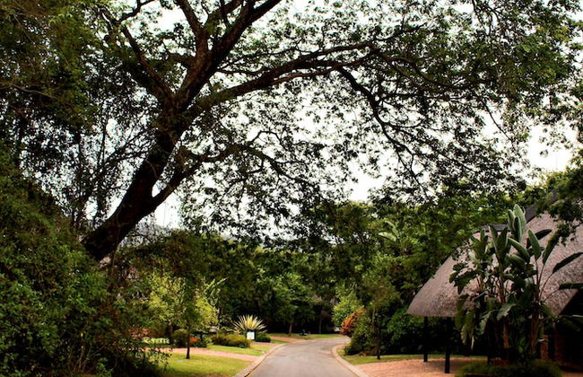 Kruger Park Lodge Unit 612 - Foto 38