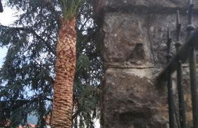 Posada Santa Eulalia - Foto 25