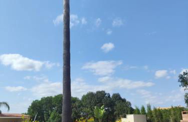 Finca Sol y Mar Es Trenc - Photo 16