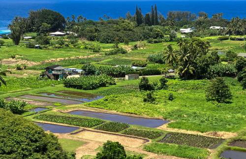 Cool & Quiet Wailea Oasis, Big Lanai + Two Pools - Foto 28