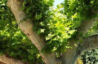 Apartment Leonie's Gîte Moulin de Tartay in Avignon by Interhome - Photo 39