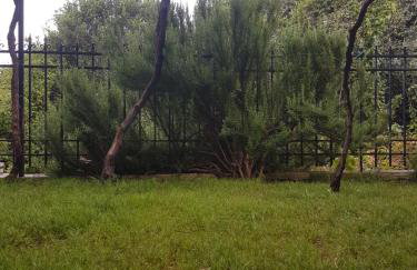 HoneyHouse - Photo 29