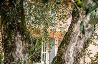 Maison Casa Lavanda - Foto 44