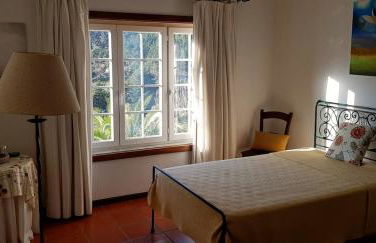 Douro Valley-Casa do Vimieiro - Foto 7