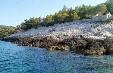 House on Punta - Photo 36