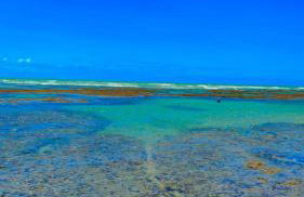 Casa da Cabana Guajiru - Foto 59
