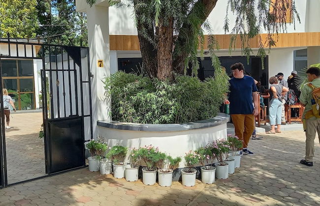 Didas Villa - Photo 17